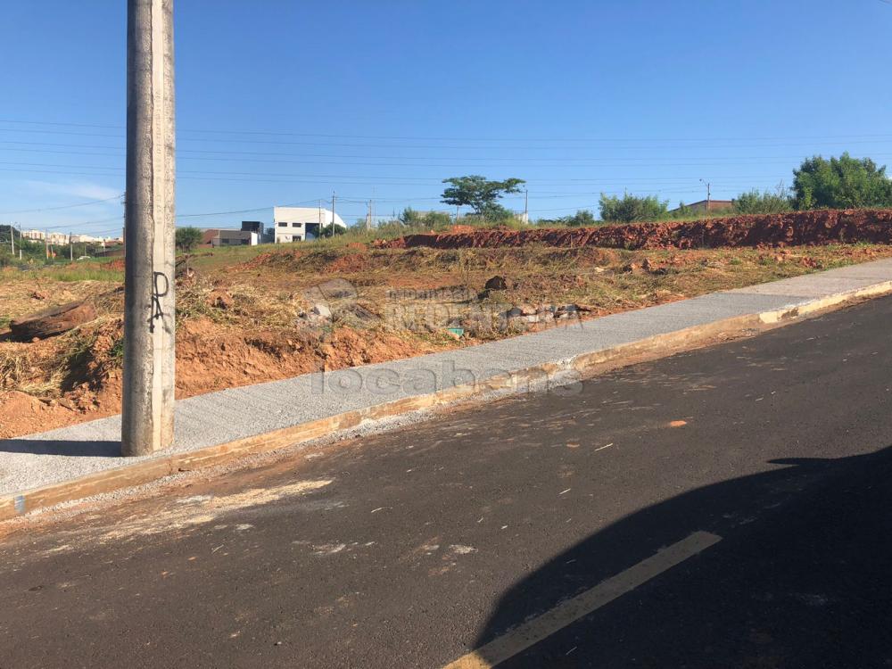 Comprar Terreno / Padrão em São José do Rio Preto apenas R$ 395.000,00 - Foto 2