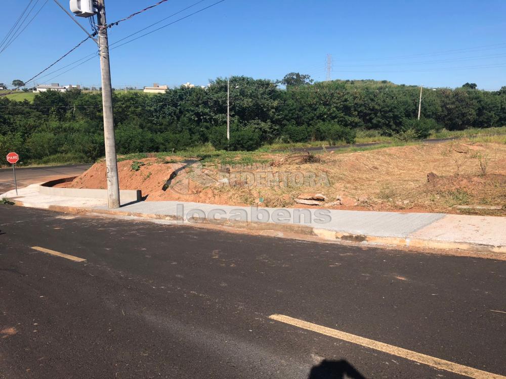 Comprar Terreno / Padrão em São José do Rio Preto apenas R$ 395.000,00 - Foto 3