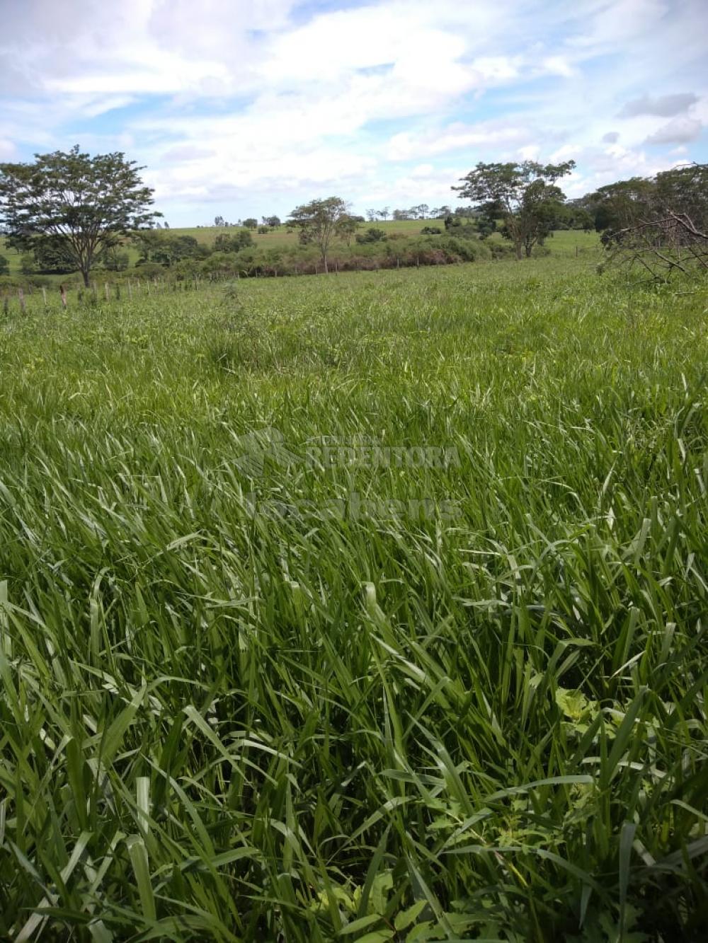 Fazenda à venda, 5154600m² - Foto 3
