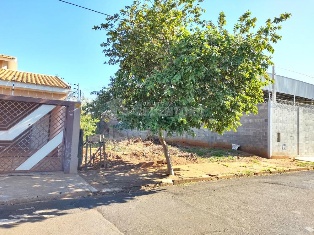 Comprar Terreno / Padrão em São José do Rio Preto apenas R$ 220.000,00 - Foto 2