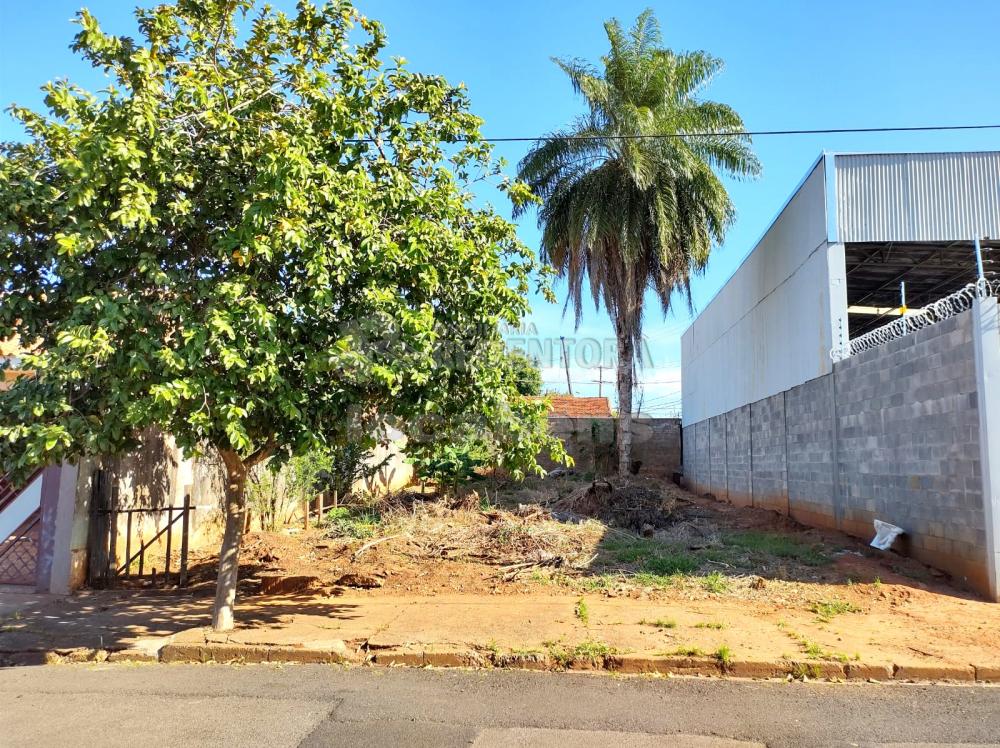 Comprar Terreno / Padrão em São José do Rio Preto apenas R$ 220.000,00 - Foto 1