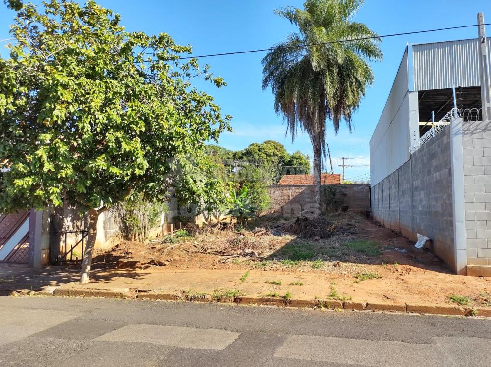 Comprar Terreno / Padrão em São José do Rio Preto R$ 220.000,00 - Foto 4