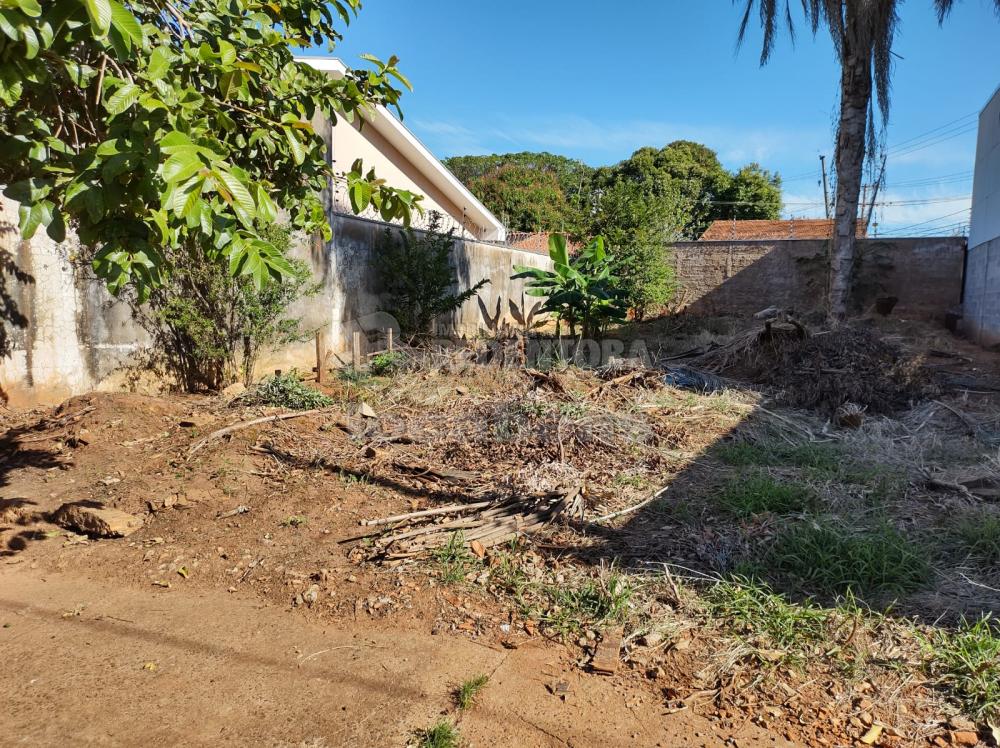 Comprar Terreno / Padrão em São José do Rio Preto apenas R$ 220.000,00 - Foto 7