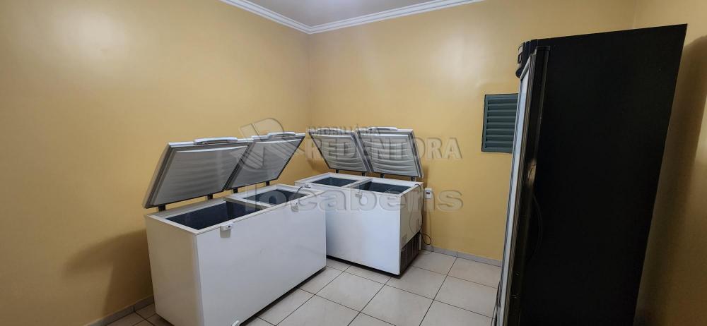 Comprar Rural / Chácara em São José do Rio Preto R$ 3.500.000,00 - Foto 70