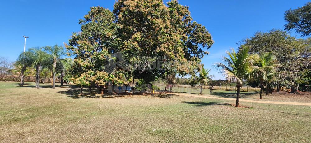 Comprar Rural / Chácara em São José do Rio Preto R$ 3.500.000,00 - Foto 19