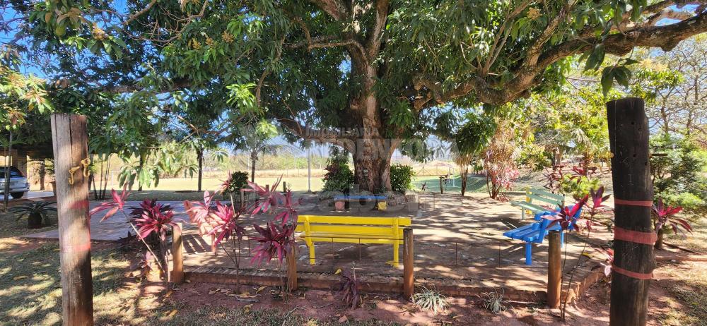 Comprar Rural / Chácara em São José do Rio Preto R$ 3.500.000,00 - Foto 21