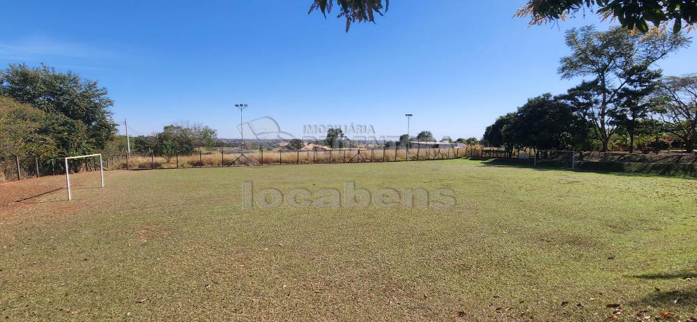 Comprar Rural / Chácara em São José do Rio Preto R$ 3.500.000,00 - Foto 24