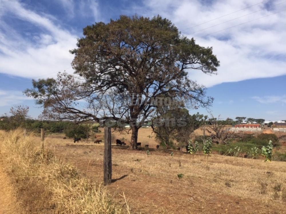 Comprar Terreno / Área em Guapiaçu R$ 36.300.000,00 - Foto 5