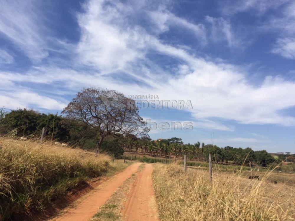 Comprar Terreno / Área em Guapiaçu R$ 36.300.000,00 - Foto 7