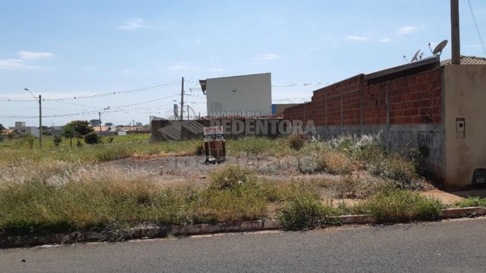 Alugar Terreno / Padrão em São José do Rio Preto R$ 3.000,00 - Foto 1