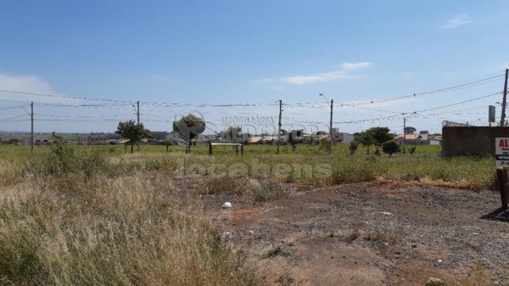 Alugar Terreno / Padrão em São José do Rio Preto R$ 3.000,00 - Foto 2