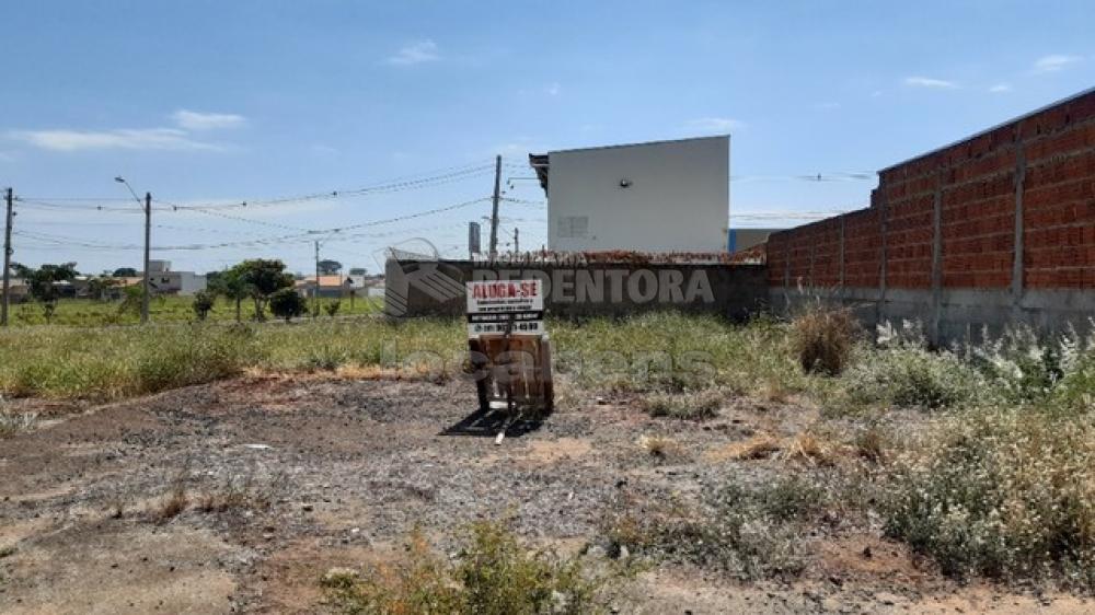 Alugar Terreno / Padrão em São José do Rio Preto R$ 3.000,00 - Foto 3