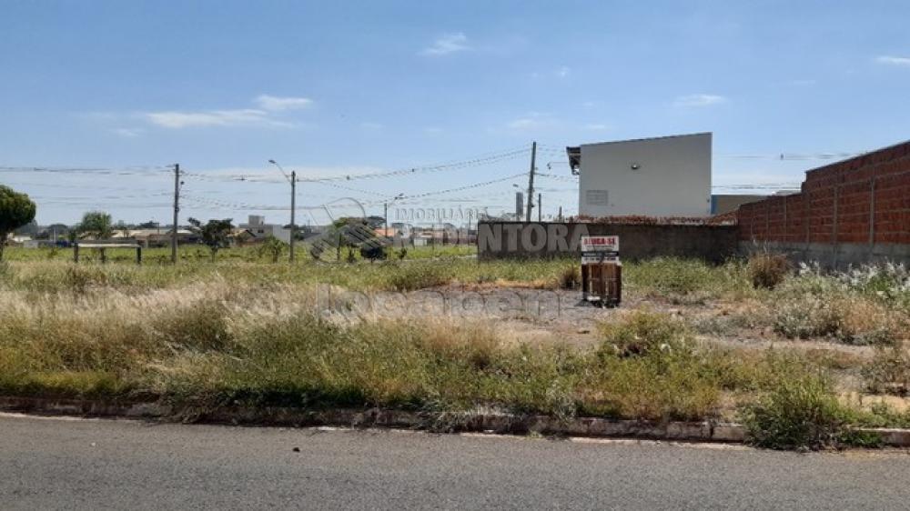 Alugar Terreno / Padrão em São José do Rio Preto R$ 3.000,00 - Foto 6