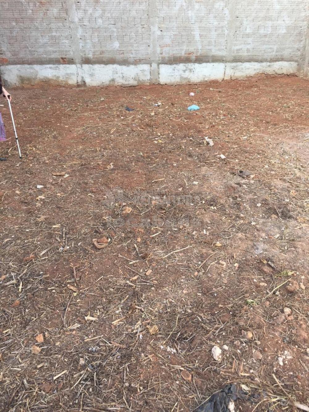 Alugar Terreno / Padrão em São José do Rio Preto R$ 950,00 - Foto 4