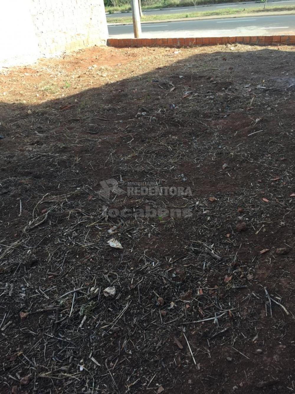 Alugar Terreno / Padrão em São José do Rio Preto R$ 950,00 - Foto 5