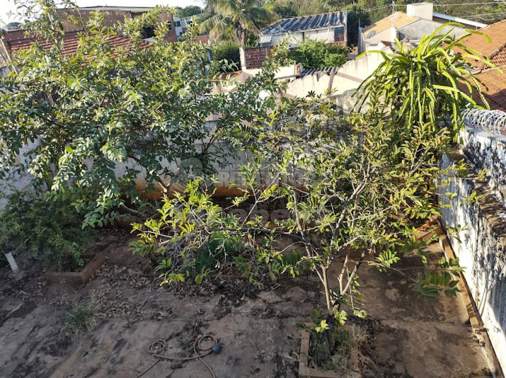 Alugar Casa / Padrão em São José do Rio Preto R$ 2.000,00 - Foto 14