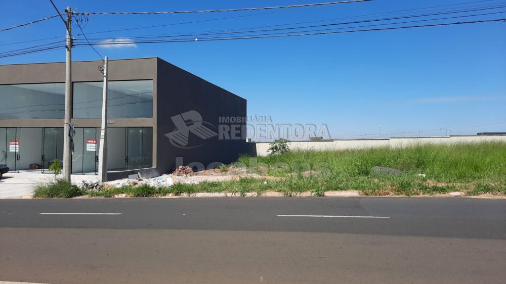 Alugar Terreno / Padrão em São José do Rio Preto R$ 800,00 - Foto 2