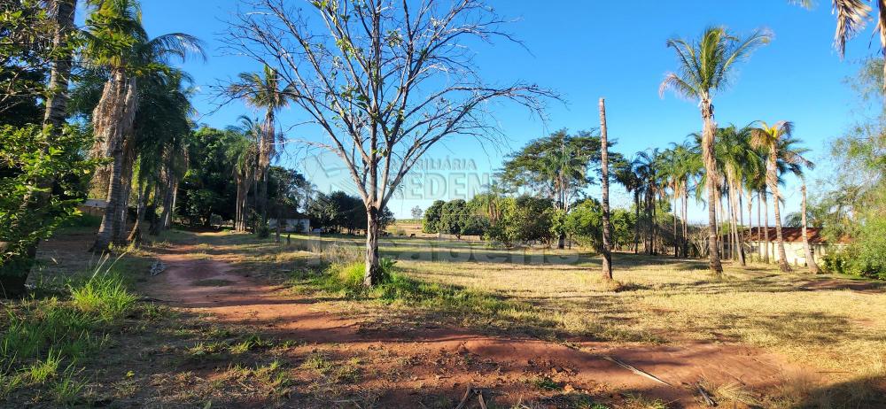 Comprar Rural / Sítio em Ipiguá R$ 2.000.000,00 - Foto 2