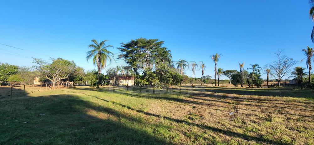 Comprar Rural / Sítio em Ipiguá R$ 2.000.000,00 - Foto 7