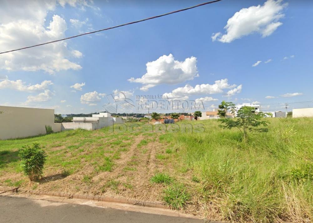 Comprar Terreno / Padrão em São José do Rio Preto R$ 132.500,00 - Foto 3