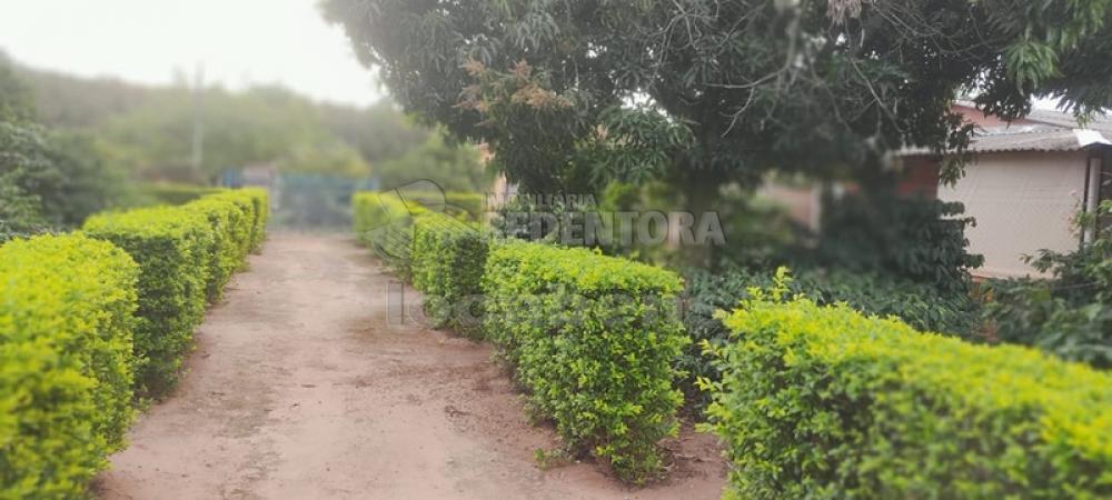 Comprar Rural / Chácara em São José do Rio Preto R$ 450.000,00 - Foto 4