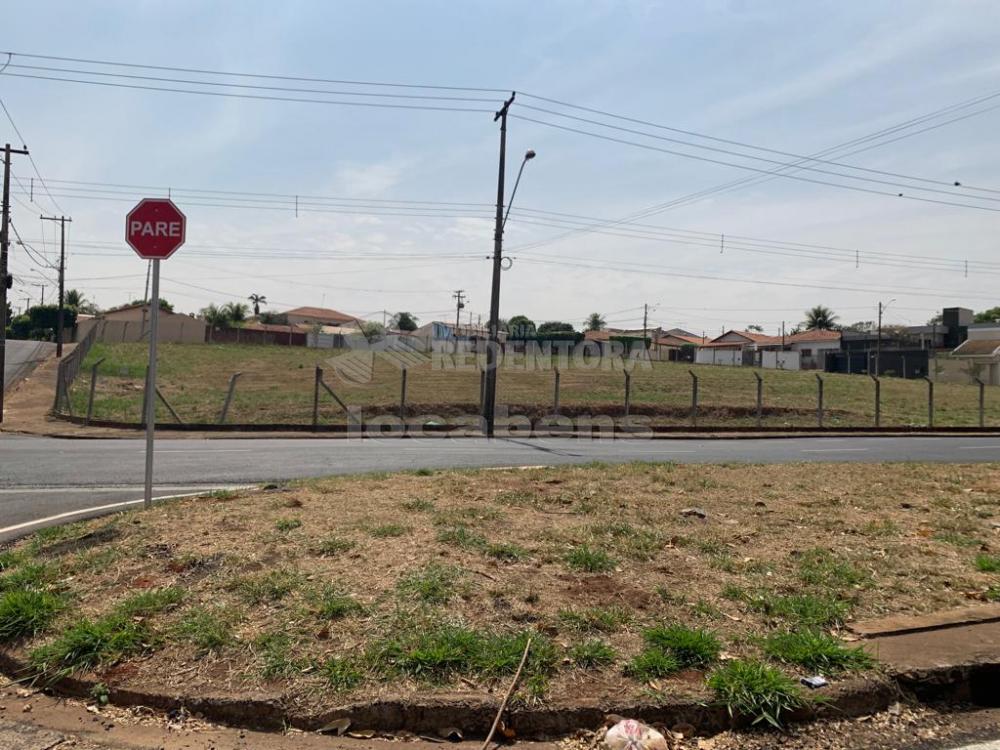 Comprar Terreno / Área em São José do Rio Preto R$ 1.250.000,00 - Foto 5