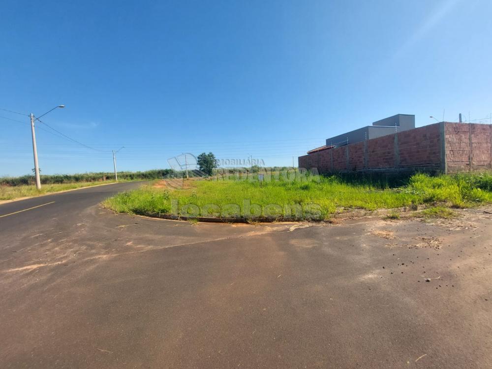 Comprar Terreno / Padrão em Bady Bassitt R$ 95.000,00 - Foto 1