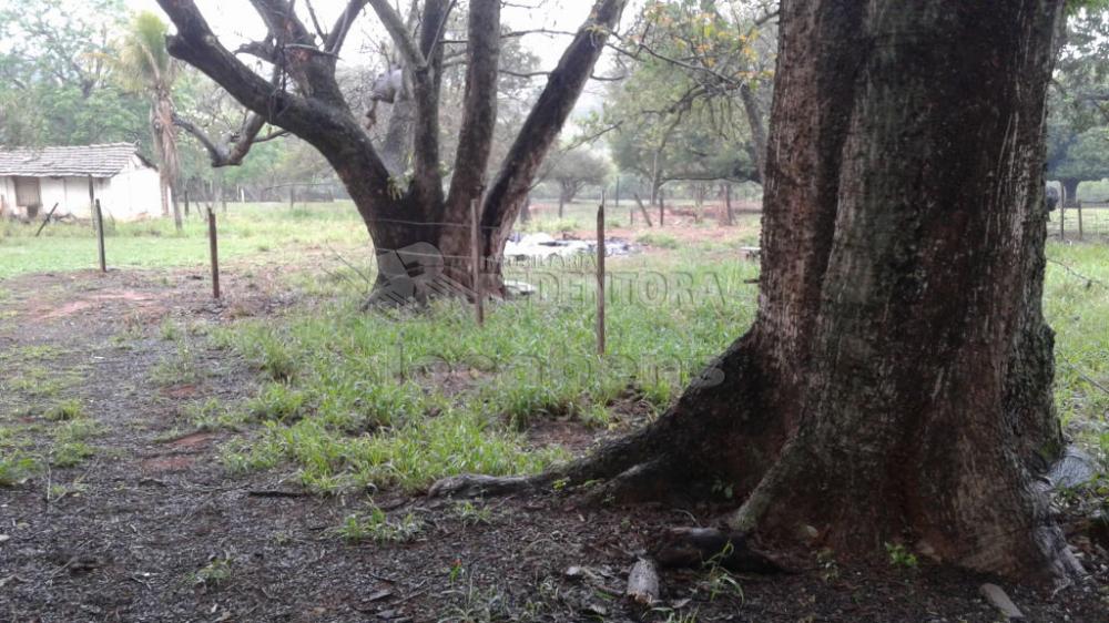 Comprar Terreno / Área em São José do Rio Preto apenas R$ 8.000.000,00 - Foto 5