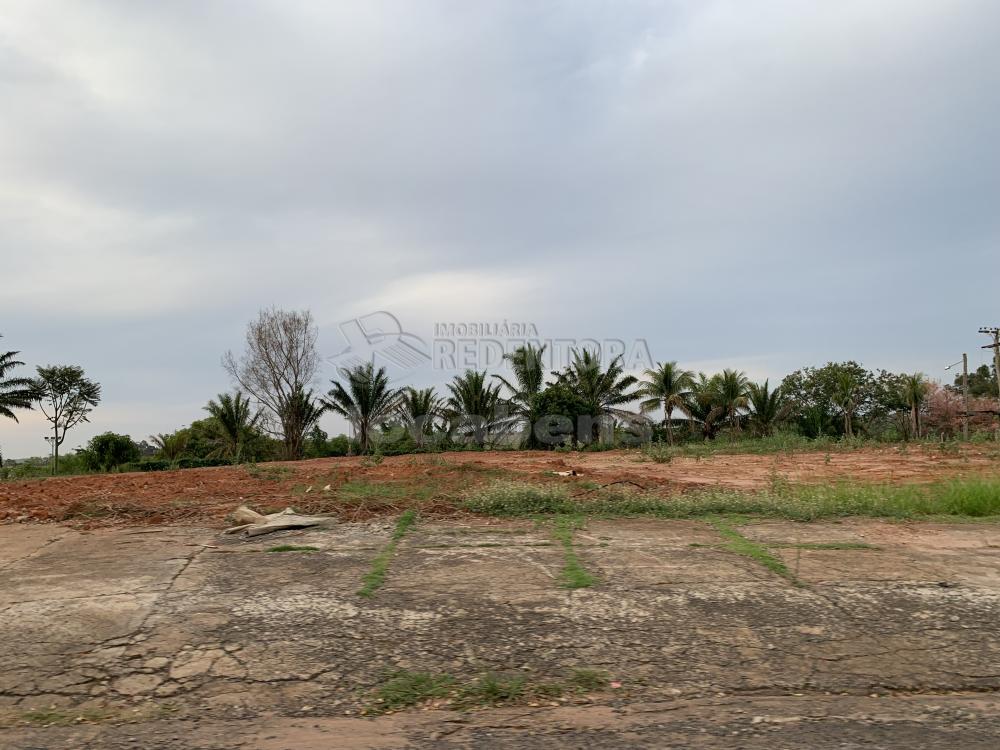 Comprar Terreno / Área em Mirassol - Foto 4