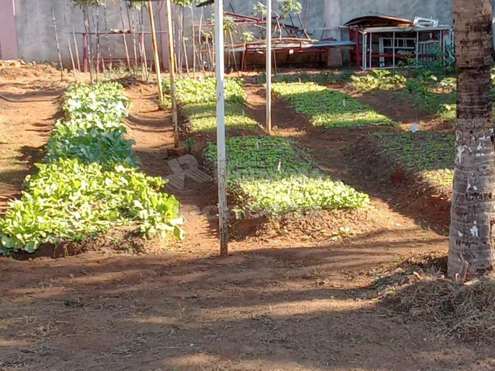 Alugar Rural / Chácara em São José do Rio Preto R$ 8.500,00 - Foto 10