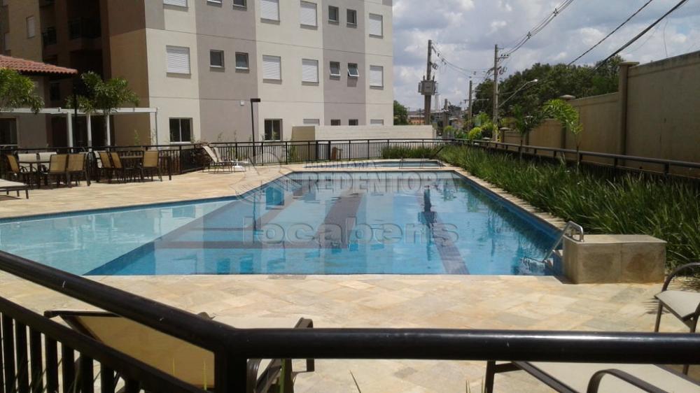 Alugar Apartamento / Padrão em São José do Rio Preto R$ 1.200,00 - Foto 19