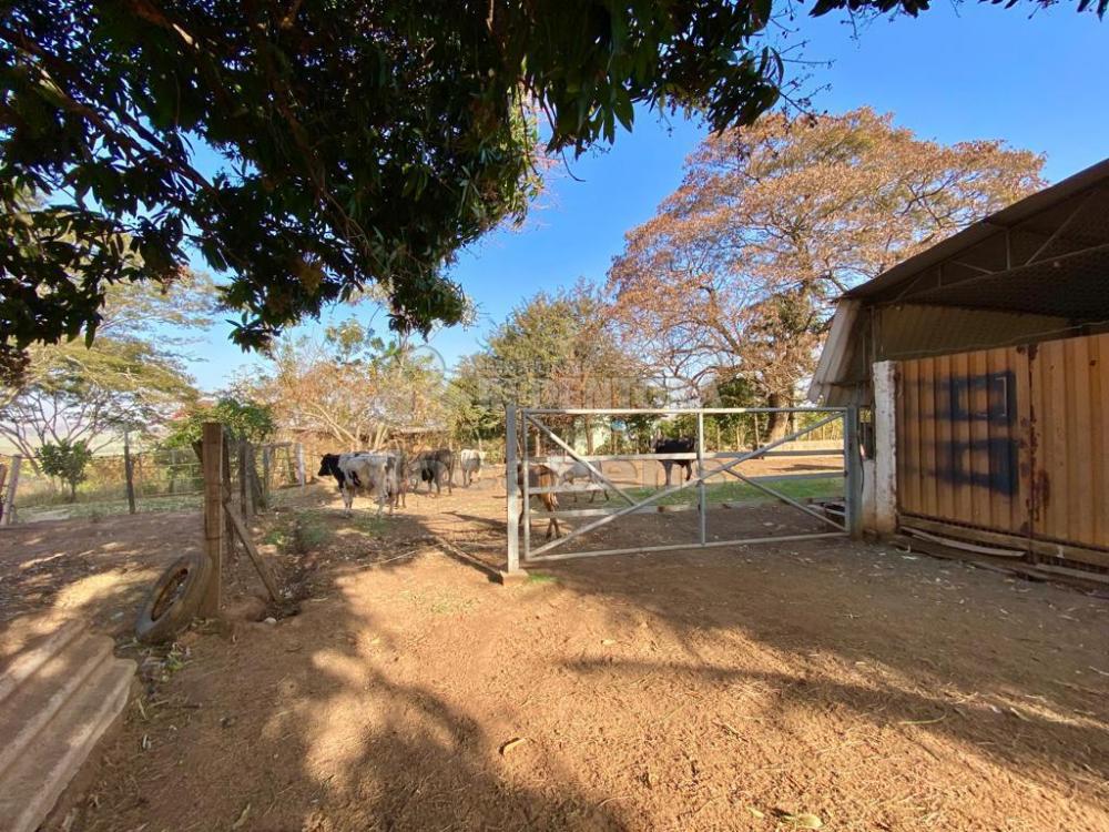 Sítio à venda com 6 quartos, 242000m² - Foto 44