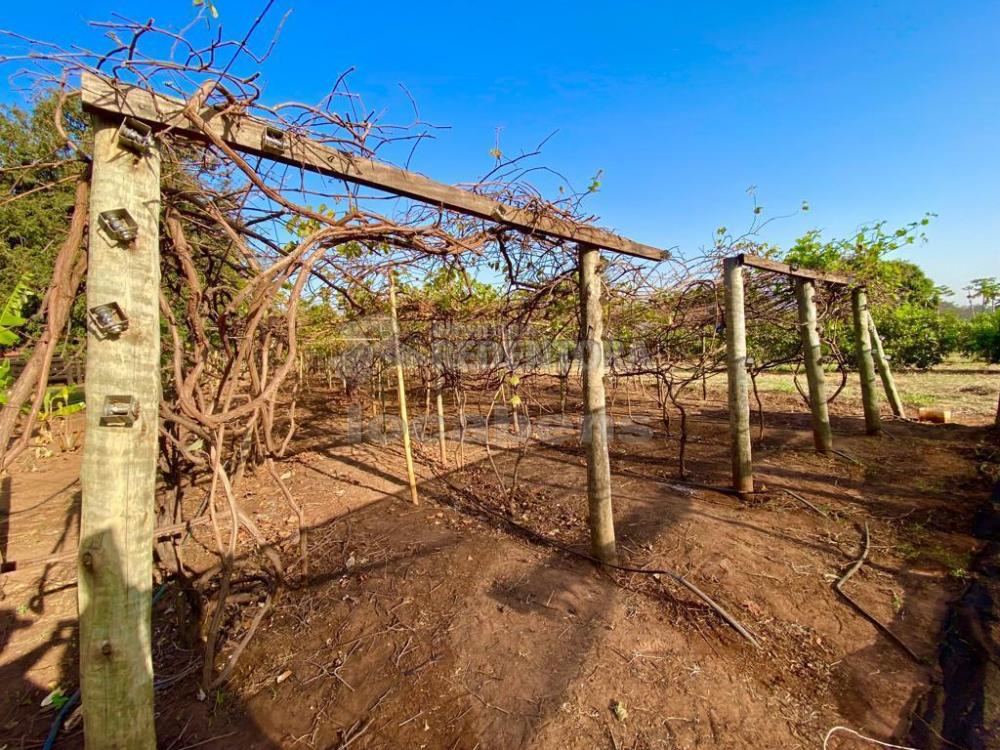 Sítio à venda com 6 quartos, 242000m² - Foto 51