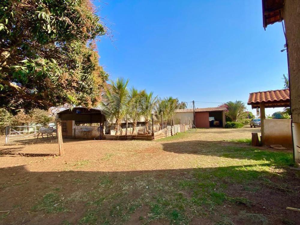 Sítio à venda com 6 quartos, 242000m² - Foto 53