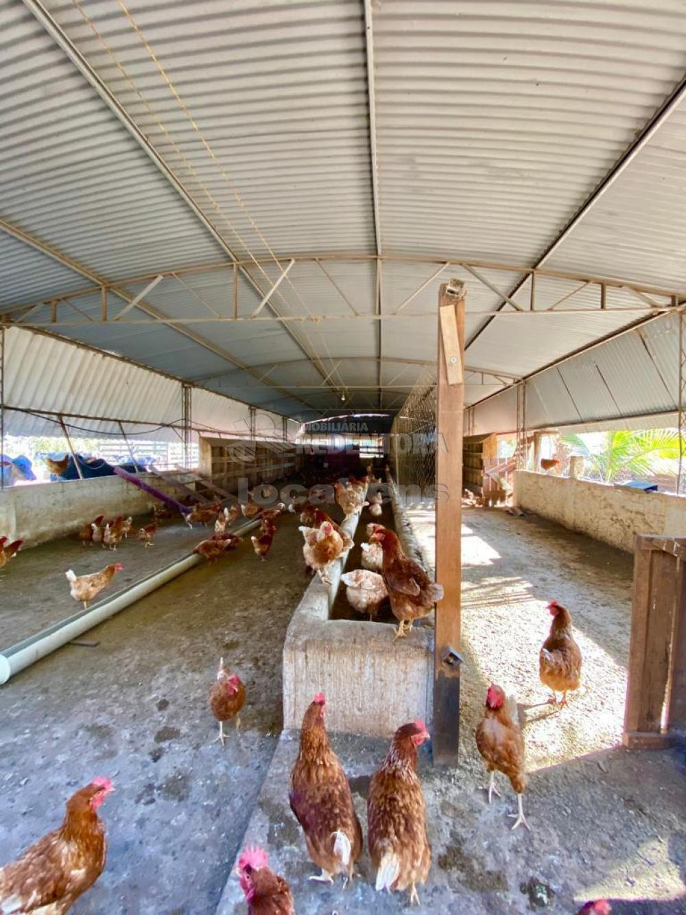 Sítio à venda com 6 quartos, 242000m² - Foto 59