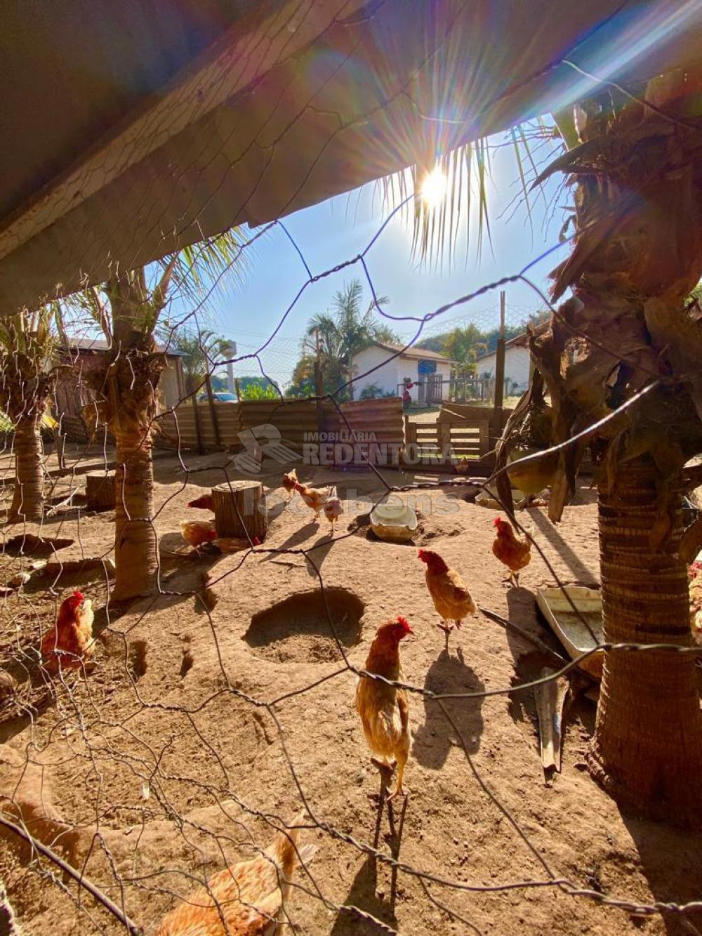 Sítio à venda com 6 quartos, 242000m² - Foto 60