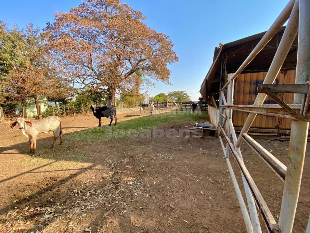 Sítio à venda com 6 quartos, 242000m² - Foto 8
