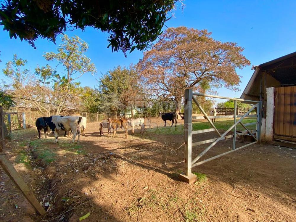 Sítio à venda com 6 quartos, 242000m² - Foto 9
