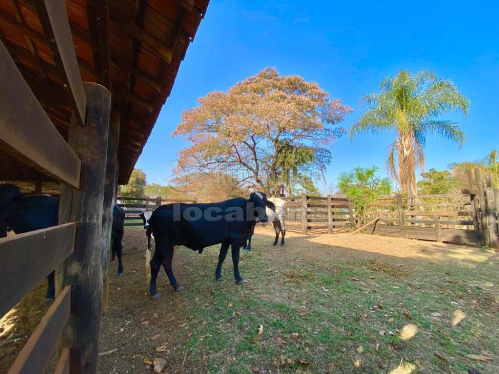 Sítio à venda com 6 quartos, 242000m² - Foto 18