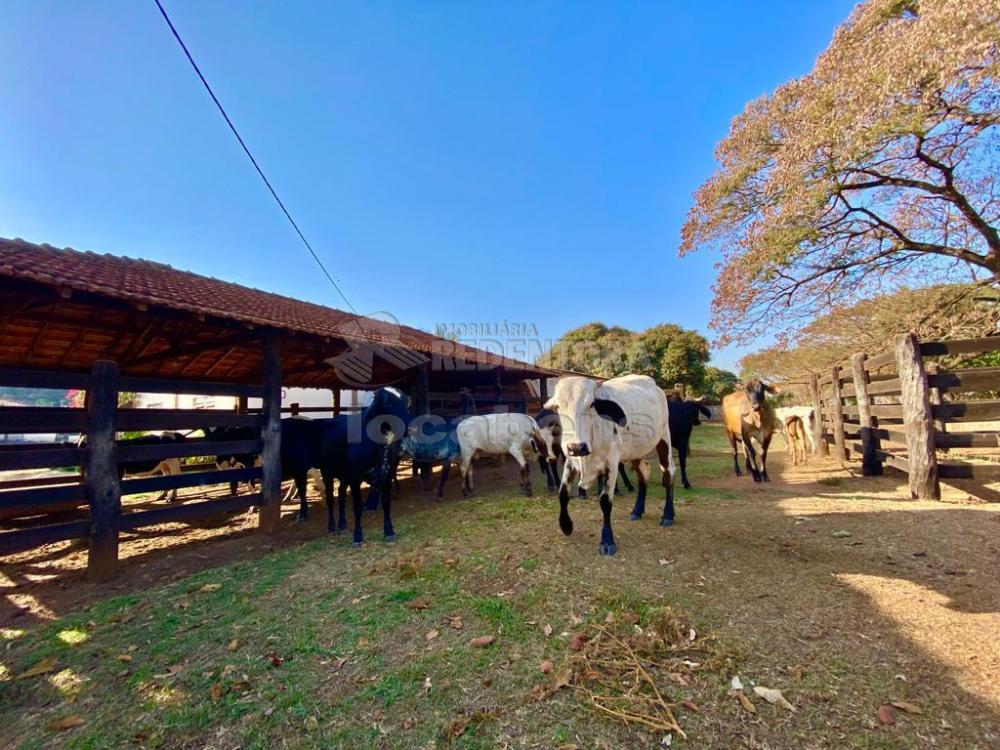 Sítio à venda com 6 quartos, 242000m² - Foto 19