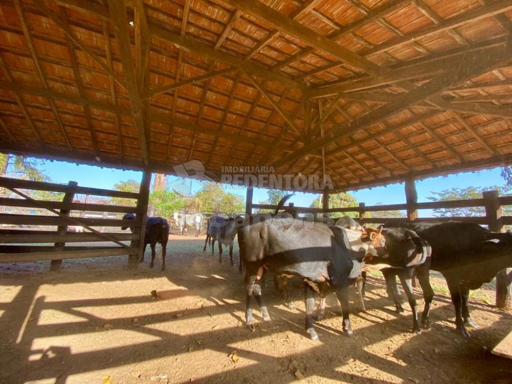 Sítio à venda com 6 quartos, 242000m² - Foto 12