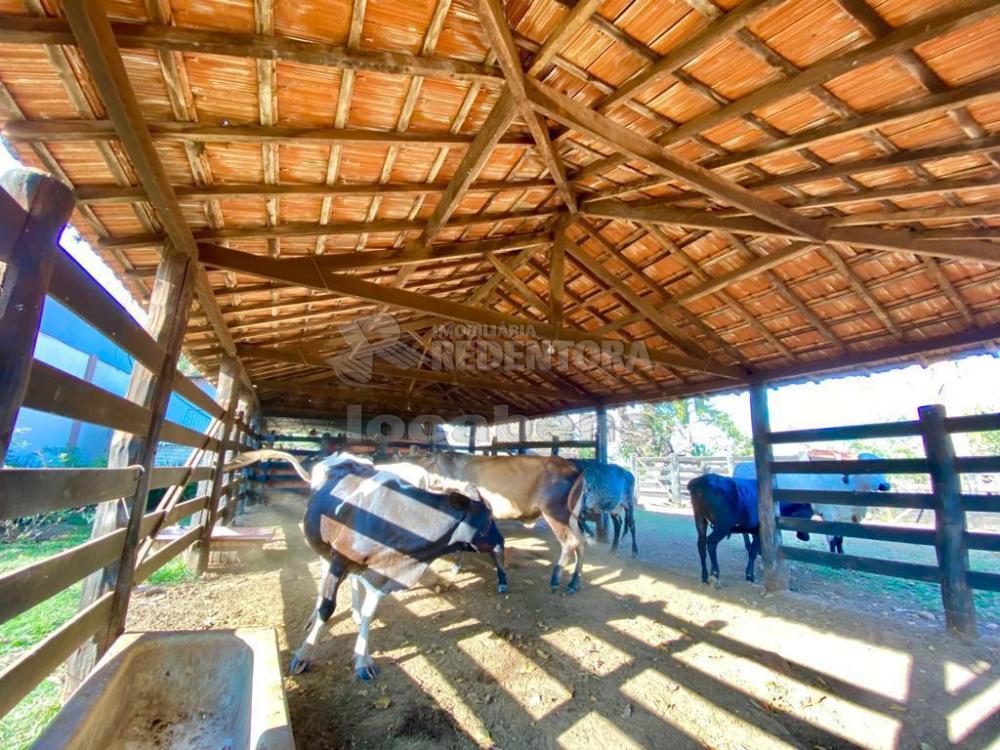 Sítio à venda com 6 quartos, 242000m² - Foto 10