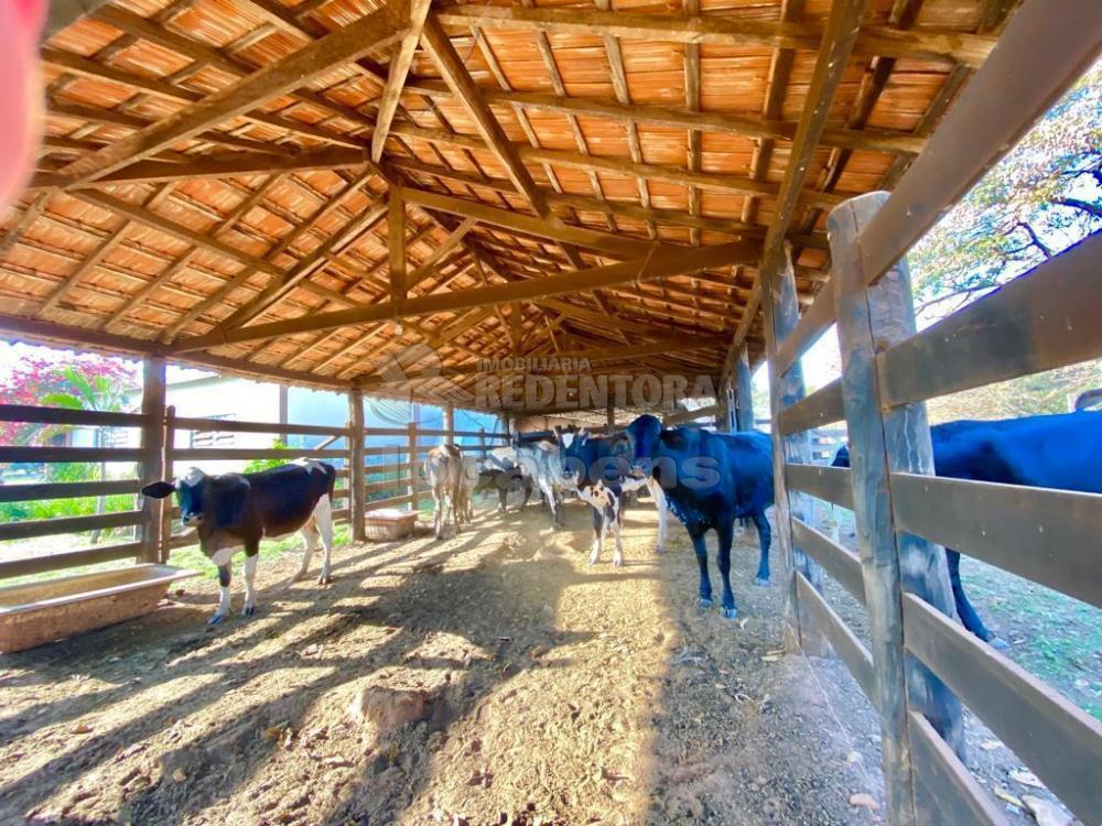 Sítio à venda com 6 quartos, 242000m² - Foto 11