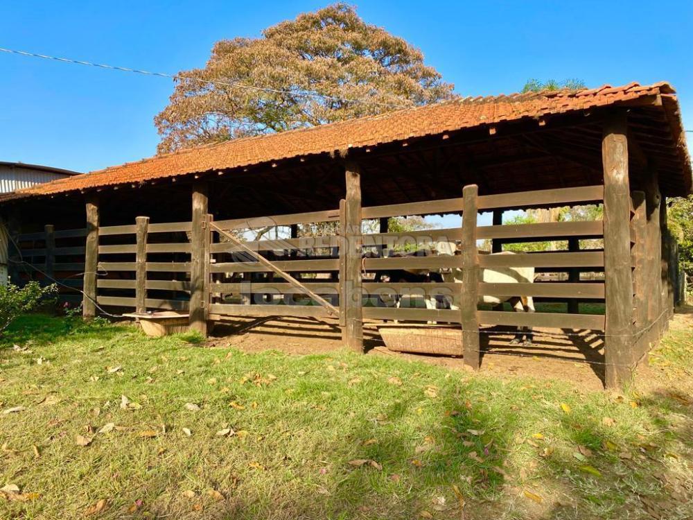Sítio à venda com 6 quartos, 242000m² - Foto 2