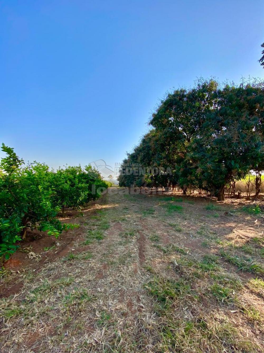 Sítio à venda com 6 quartos, 242000m² - Foto 68