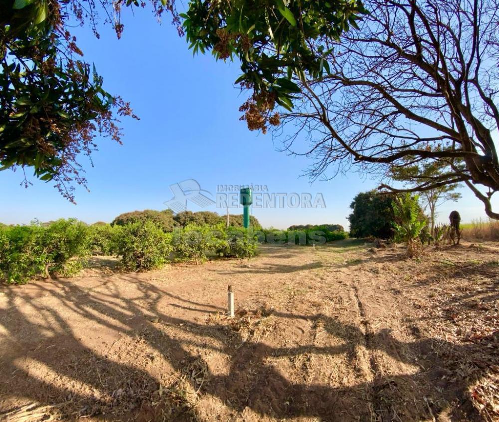 Sítio à venda com 6 quartos, 242000m² - Foto 23