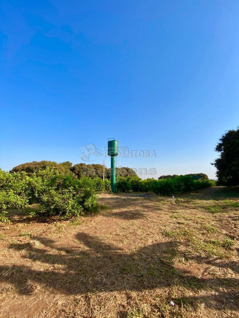 Sítio à venda com 6 quartos, 242000m² - Foto 24