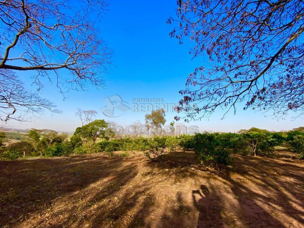 Sítio à venda com 6 quartos, 242000m² - Foto 25