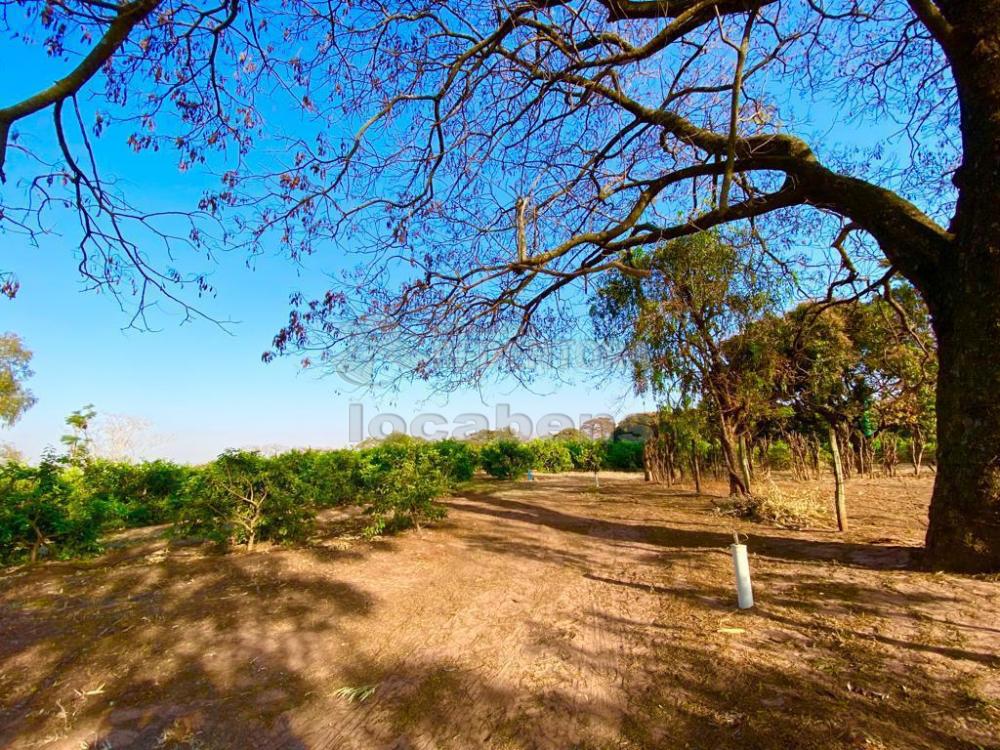 Sítio à venda com 6 quartos, 242000m² - Foto 26