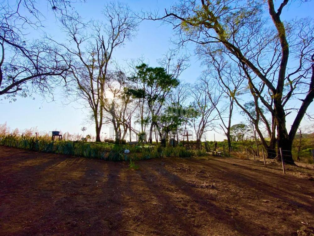 Sítio à venda com 6 quartos, 242000m² - Foto 29